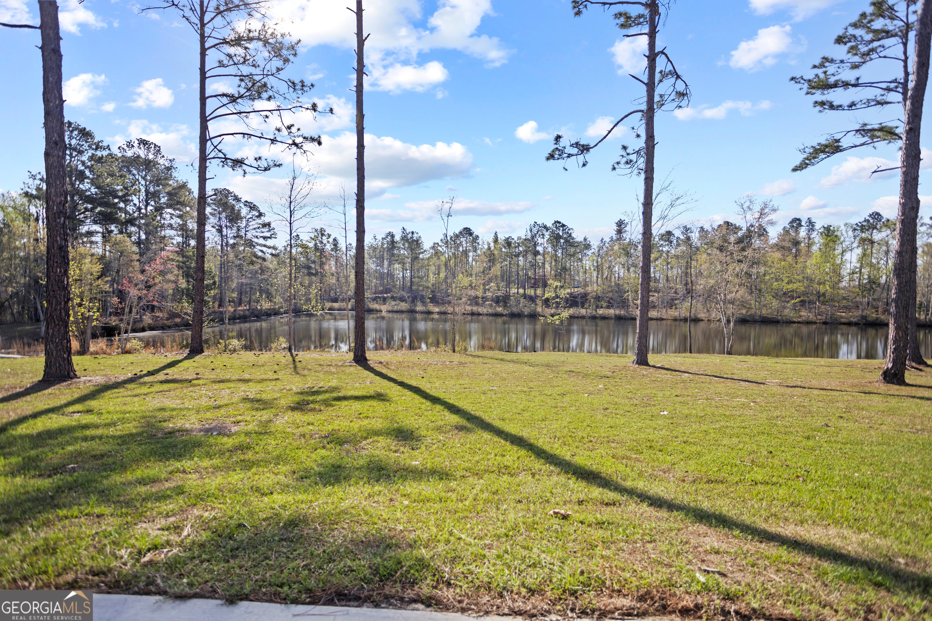 2136 W GA Hwy 130