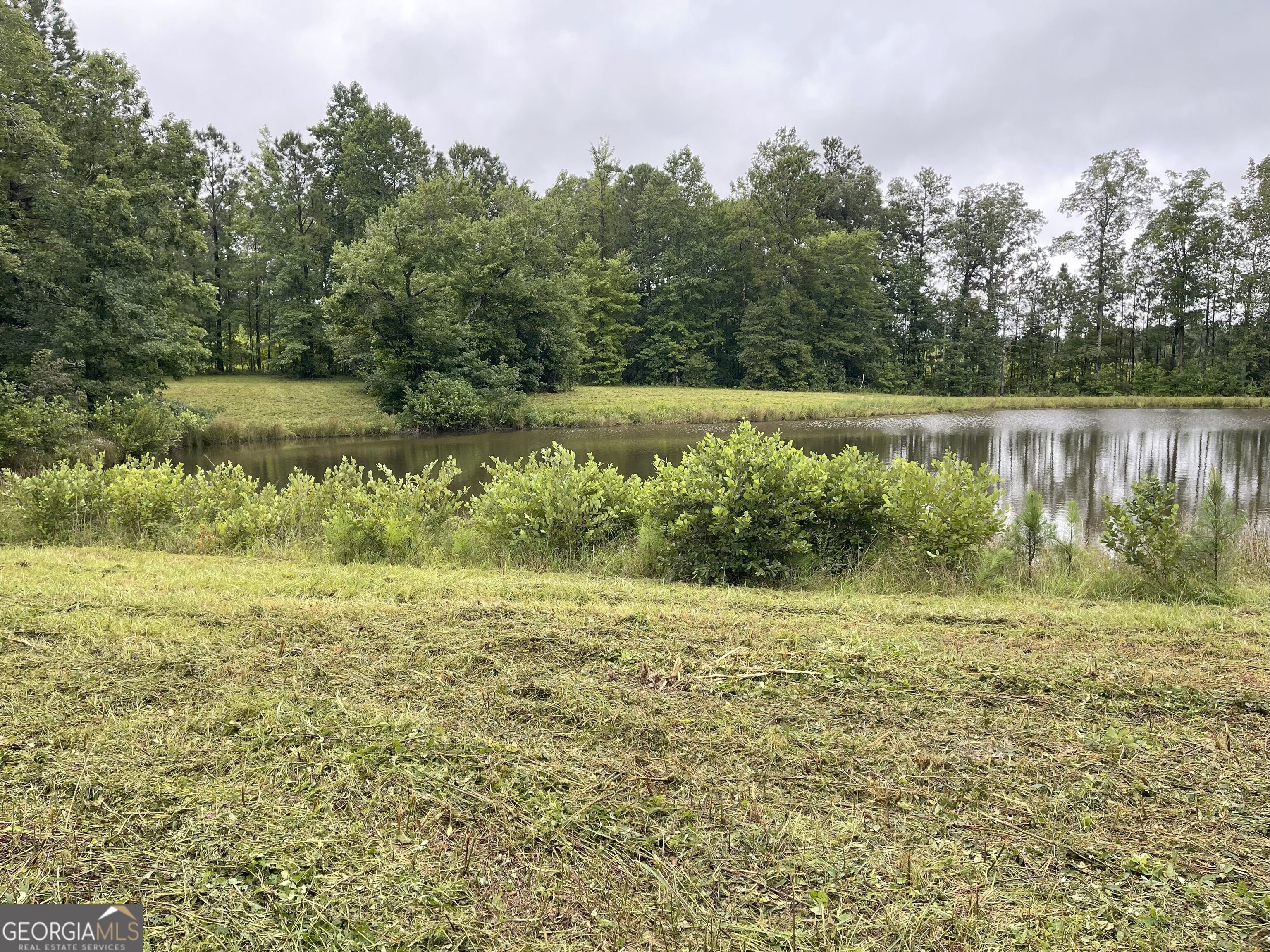 Welcome to your dream homestead at 37 acres of pristine, unrestricted pasture land! This expansive property features two barns, one of which is equipped with stalls, perfect for housing livestock or storing equipment. Enjoy the serenity of a private, stocked pond, ideal for fishing or simply relaxing by the water. Abundant wildlife roams the land, making it a nature lover's paradise. With plenty of locations to build your dream home, this property offers endless possibilities for off-grid living or establishing a thriving farm. Additionally, this property is in conservation, providing a great tax benefit. Embrace the freedom and potential of this exceptional piece of land, where your homestead dreams can come true.