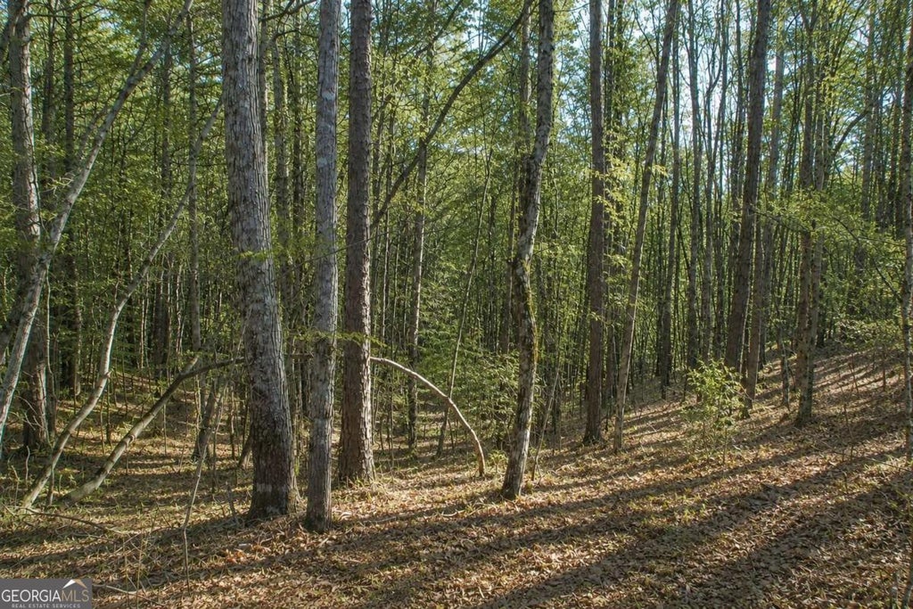 Photo of 24 Waldrip Road, Dawsonville, GA 30534 (MLS # 10799791)