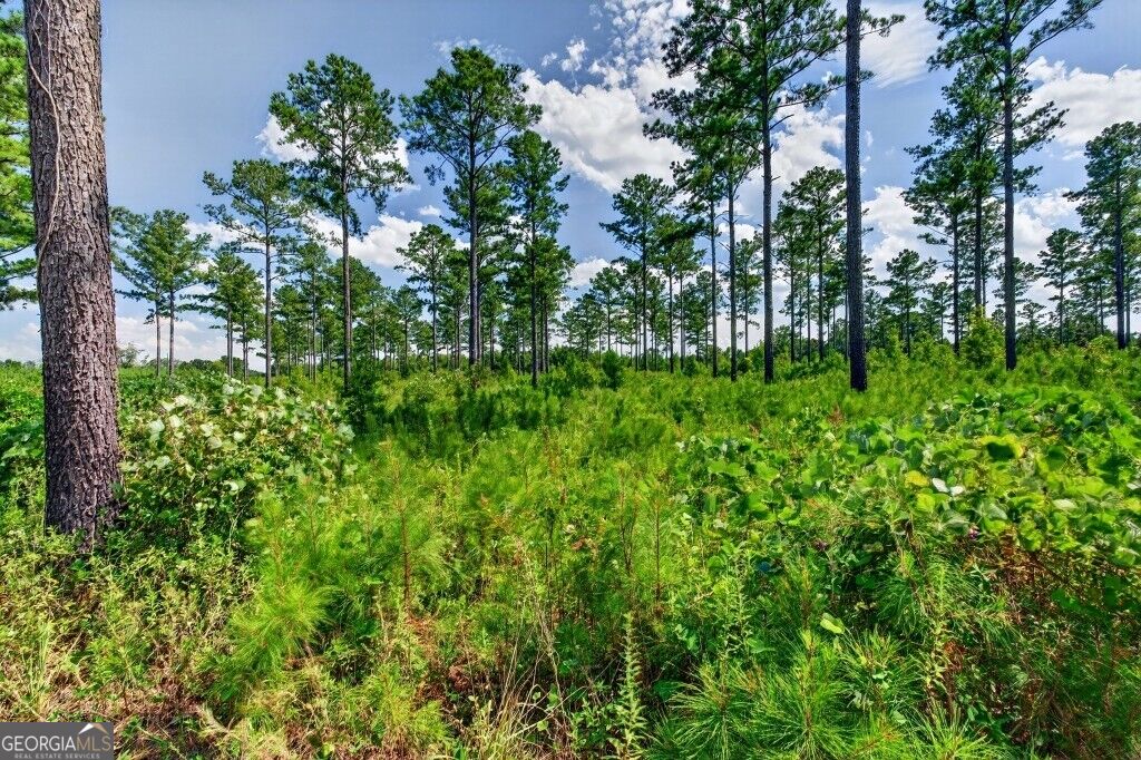 Photo of 0 Hwy 30 #TRACT C, Buena Vista, GA 31803 (MLS # 10840030)