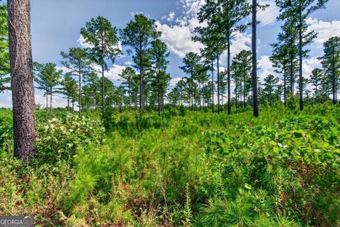 Photo for 0 Hwy 30 TRACT C