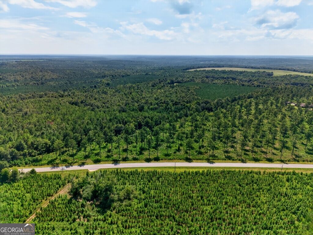 Photo of 0 Hwy 30 #TRACT C, Buena Vista, GA 31803 (MLS # 10840030)
