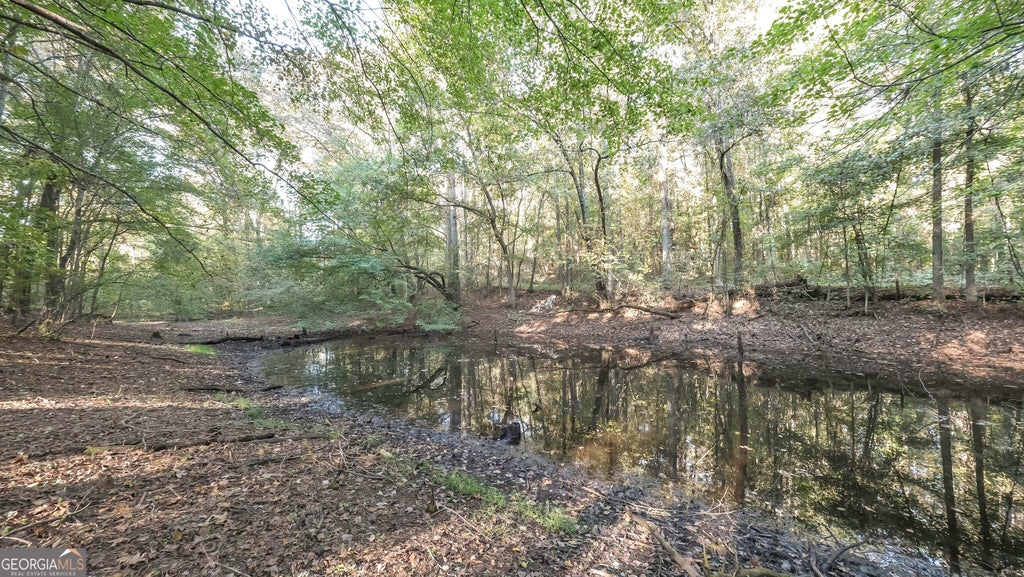 Photo of 0 Daniel Road, Tallapoosa, GA 30176 (MLS # 10874267)