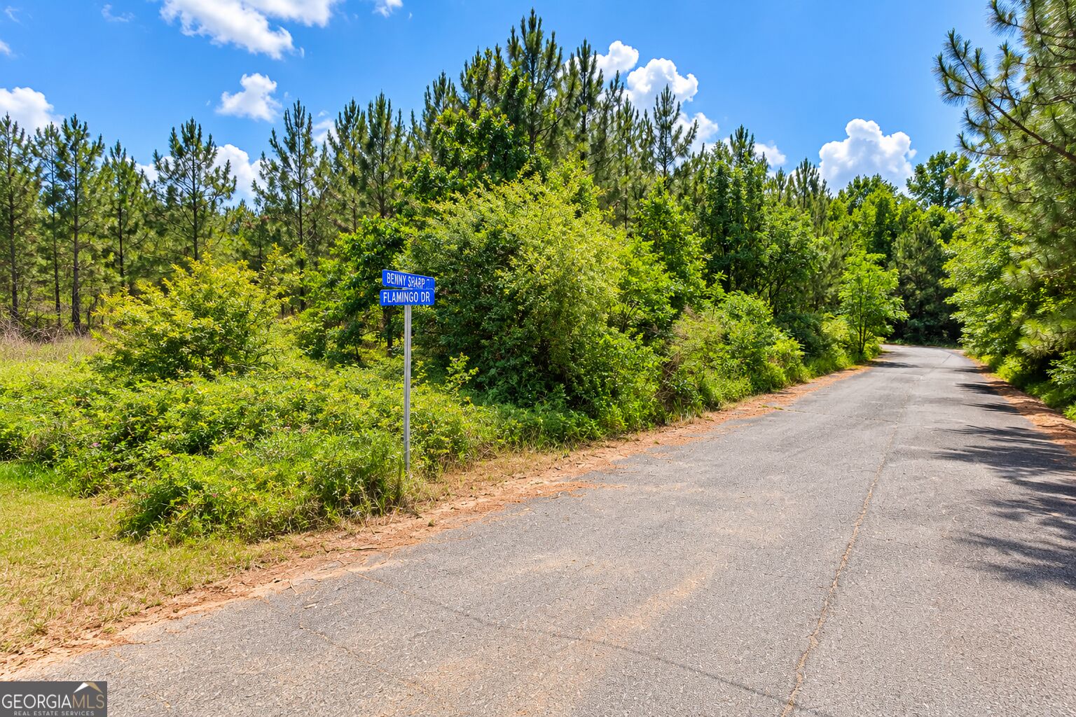 2.4 ACRES Flamingo EST