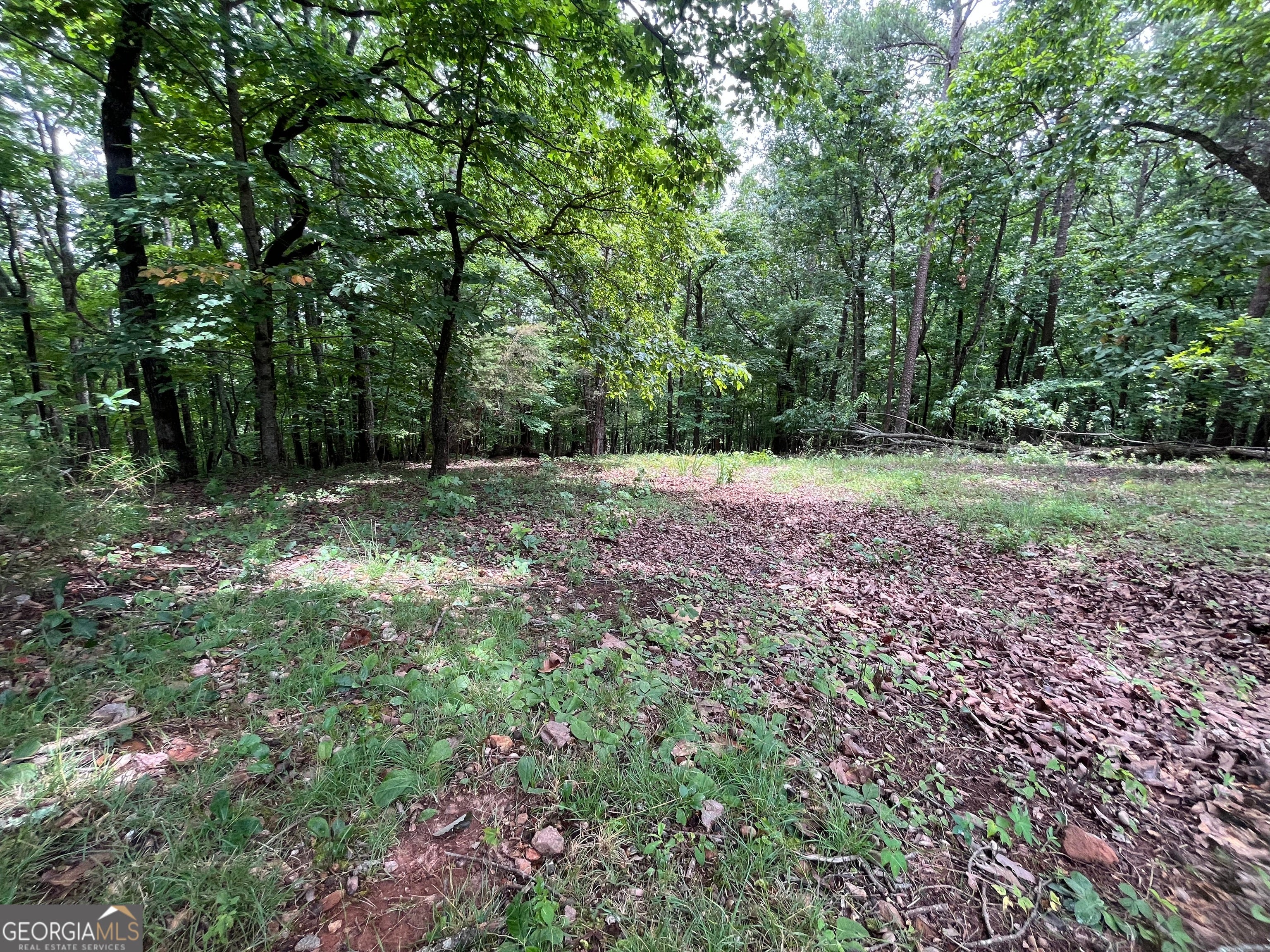 0 White Stone DR