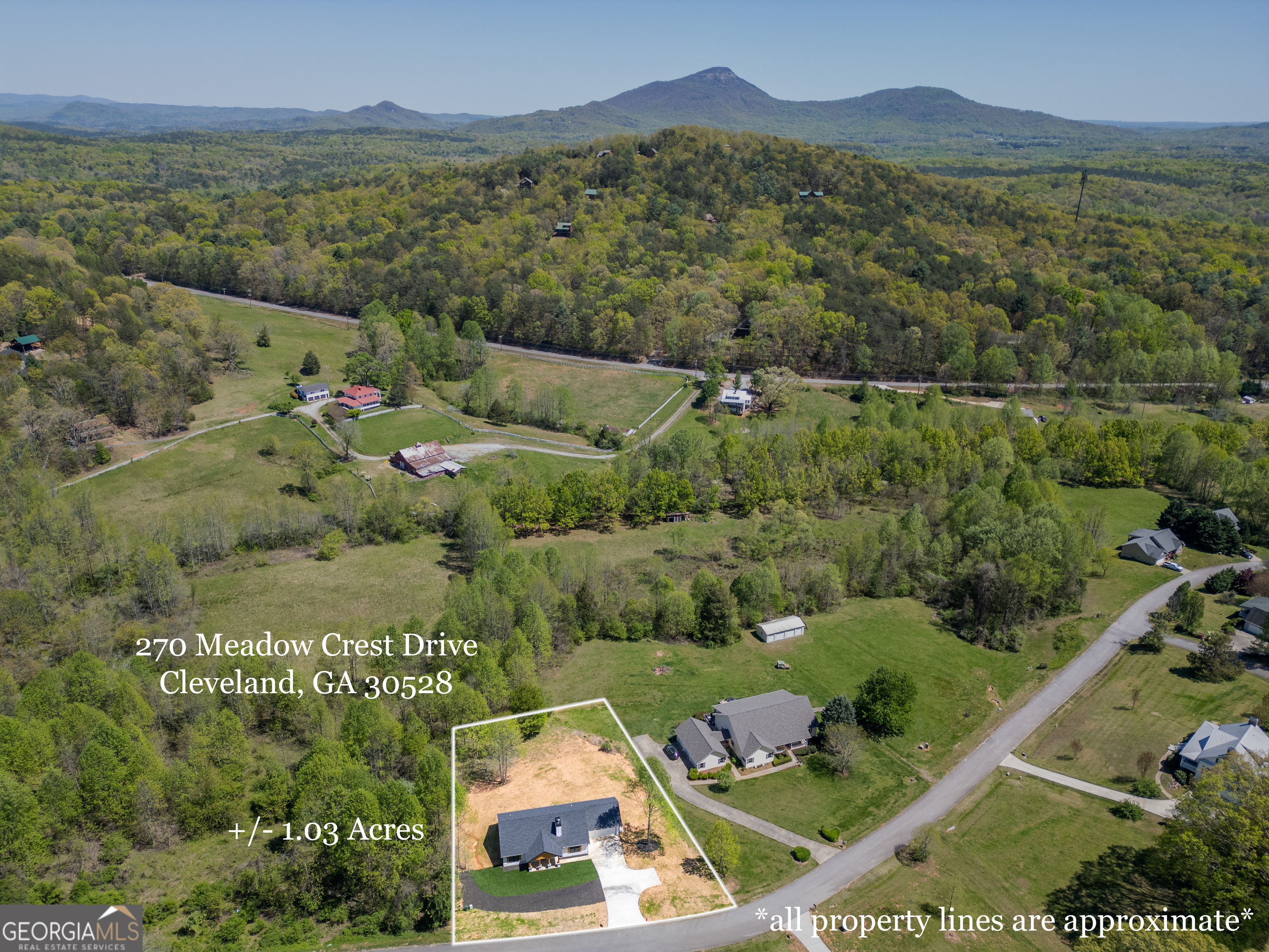 Cleveland, Georgia 30528, United States, 3 Bedrooms Bedrooms, ,2 BathroomsBathrooms,Residential,Active,88611