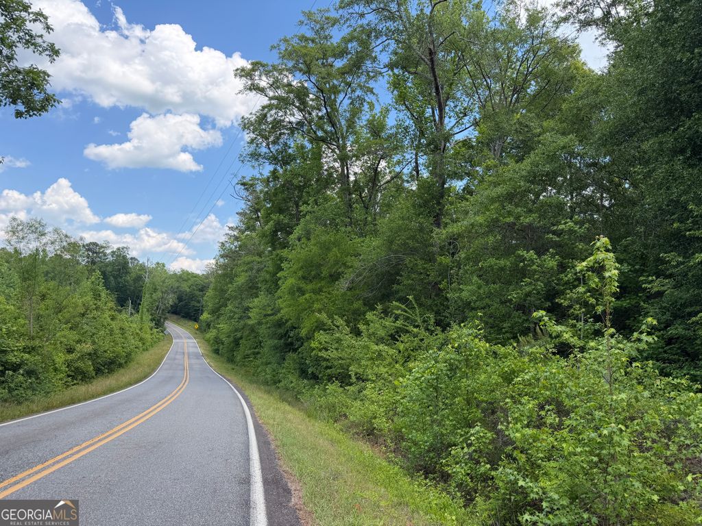 Photo of 11 Long Branch Rd, Toomsboro, GA 31090 (MLS # 10760191)