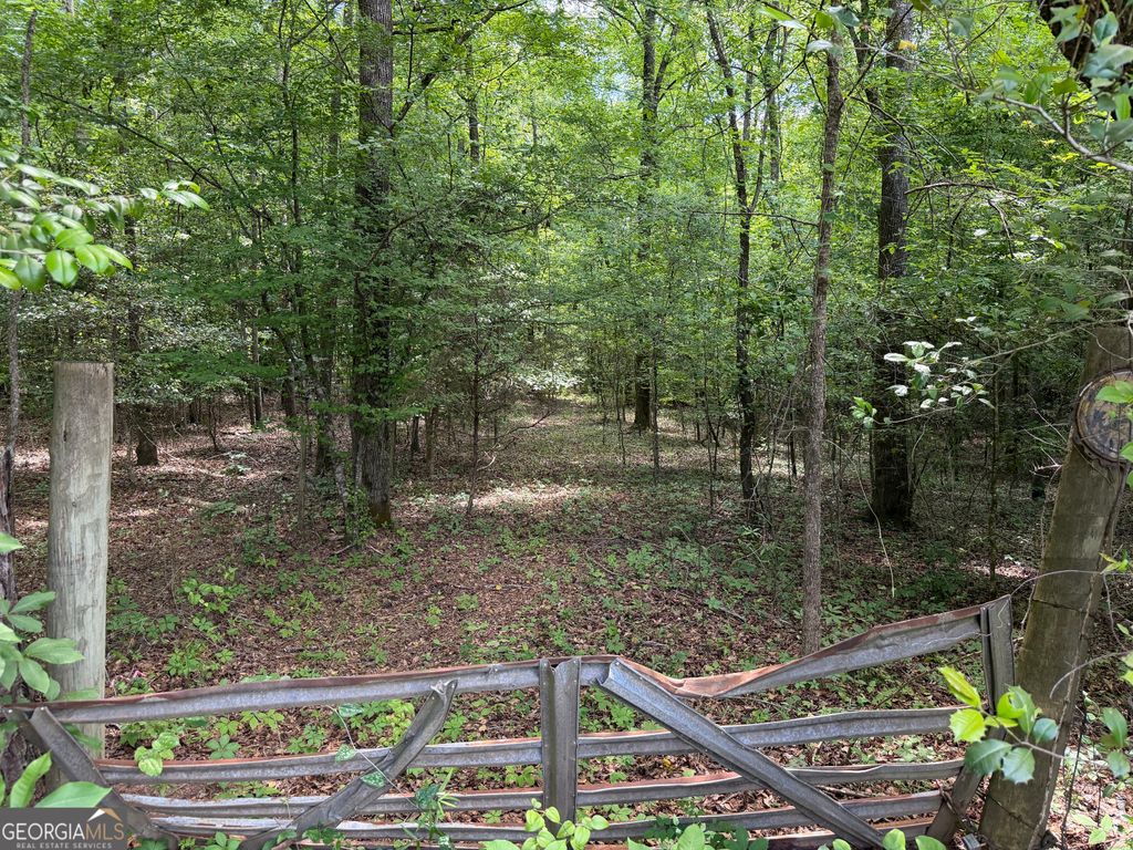 Photo of 11 Long Branch Rd, Toomsboro, GA 31090 (MLS # 10760191)