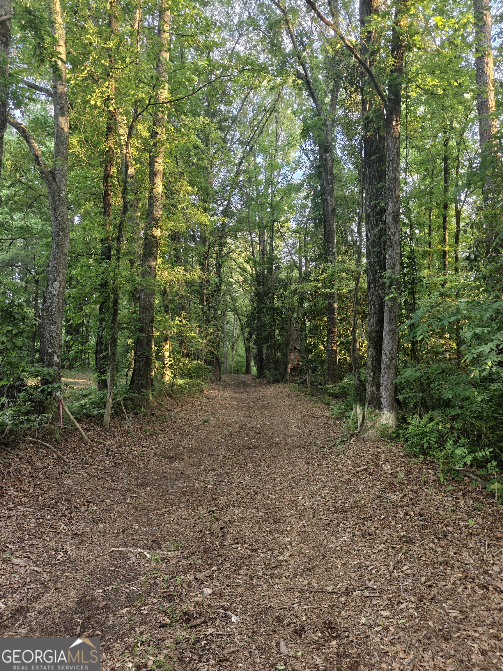 Photo 1 of 4 — 0 Quick DR, Senoia, GA 30276