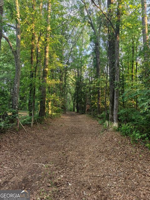 0 Quick DR Senoia GA 30276