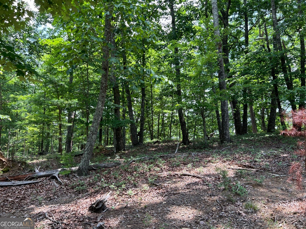 Photo of 0 Planters Pointe Drive, Baldwin, GA 30511 (MLS # 10784430)