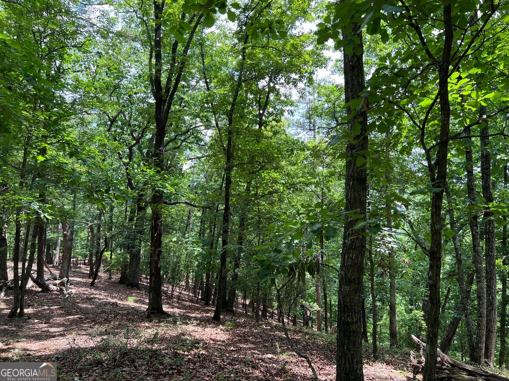 Photo of 0 Planters Pointe Drive, Baldwin, GA 30511 (MLS # 10784430)