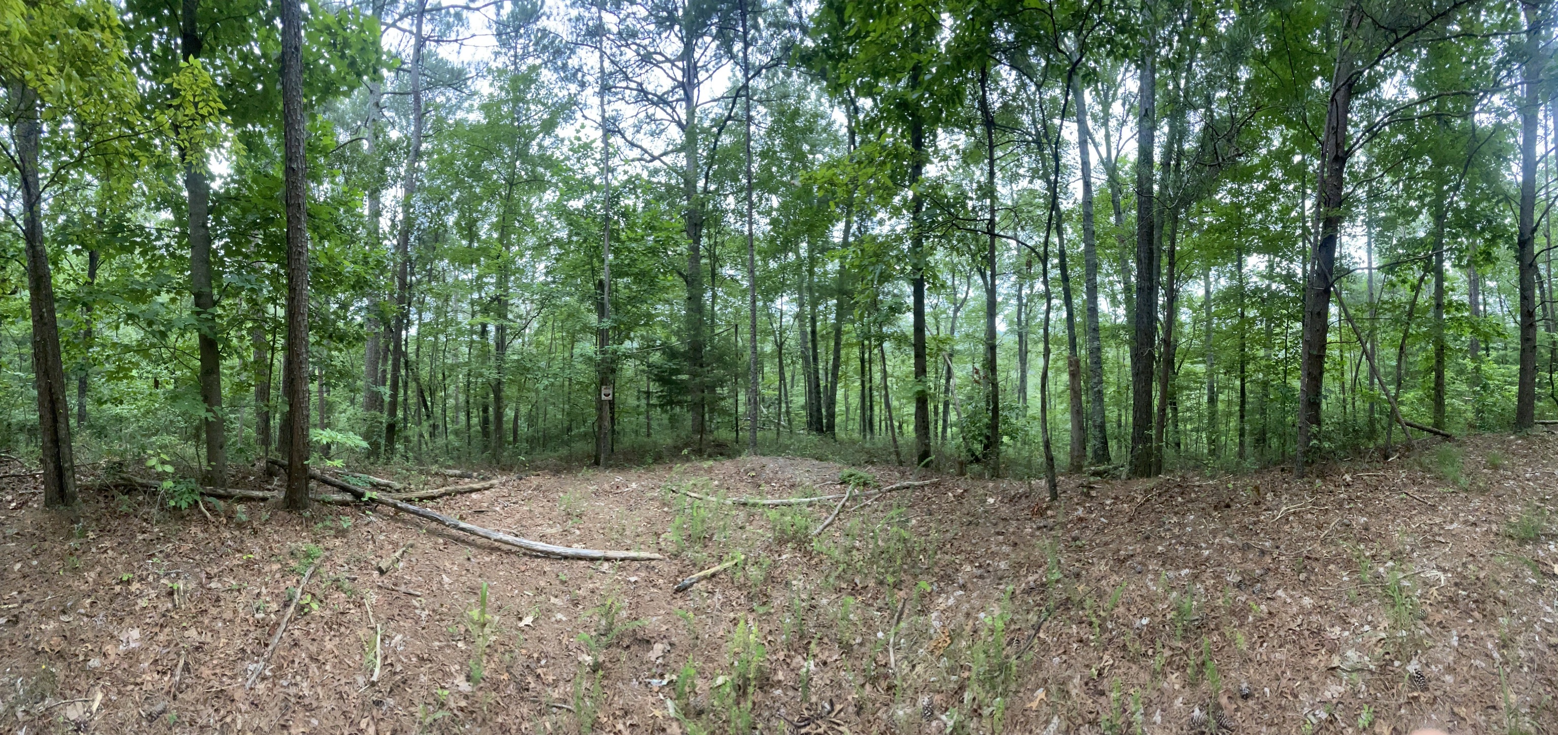 View Ranger, GA 30734 land