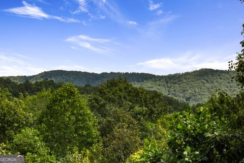 A home in Blue Ridge