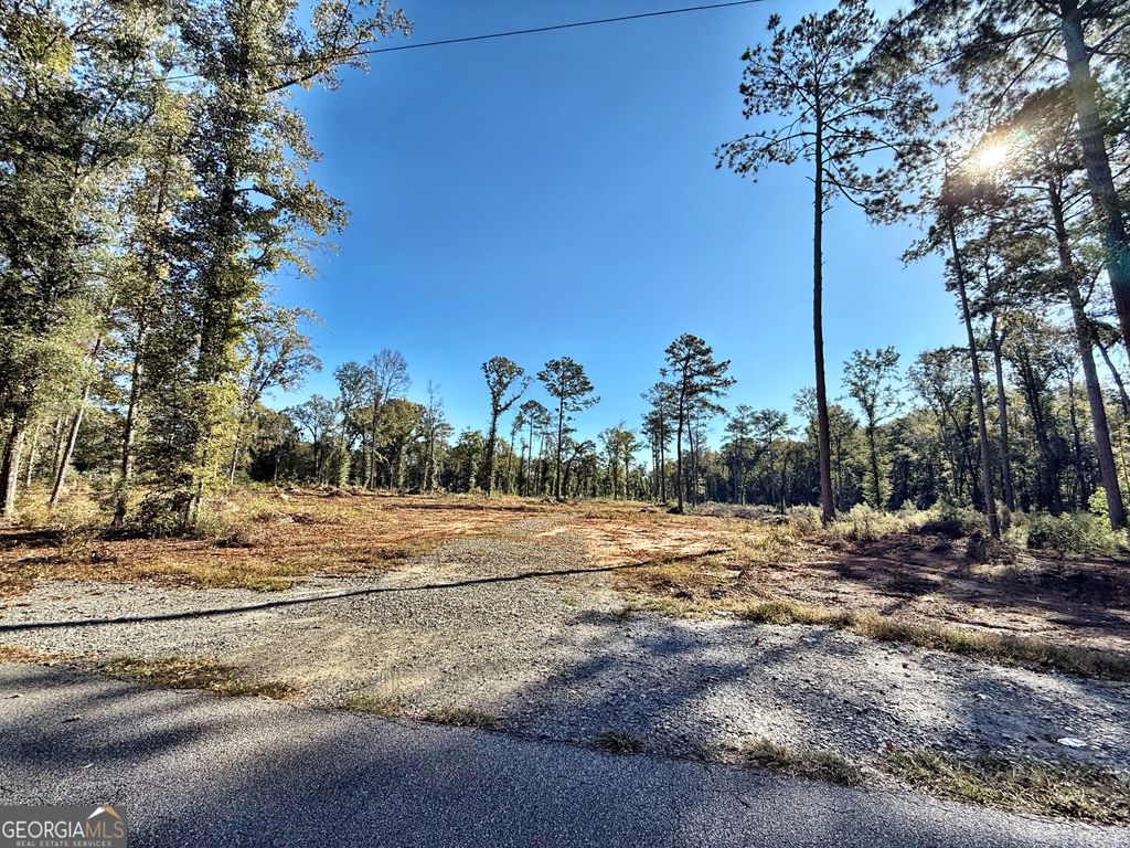 Photo of 285 Lower Simmons Road, Macon, GA 31220 (MLS # 10624704)
