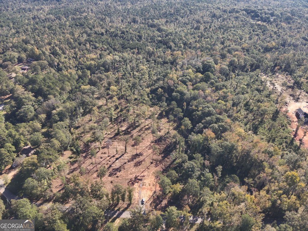 Photo of 285 Lower Simmons Road, Macon, GA 31220 (MLS # 10624704)