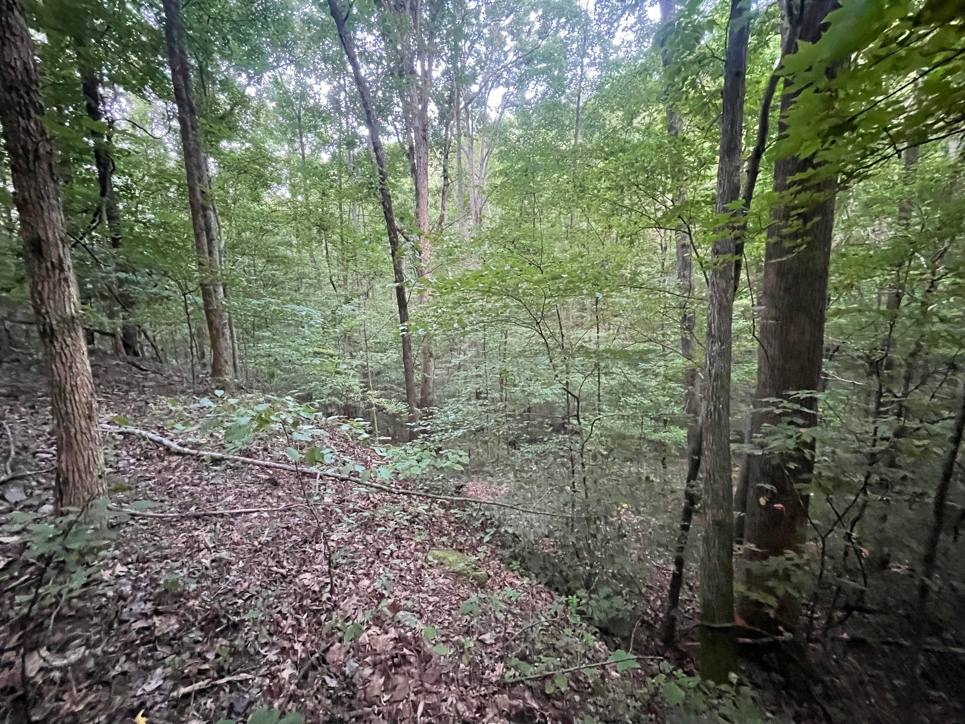 667 Sanford CT