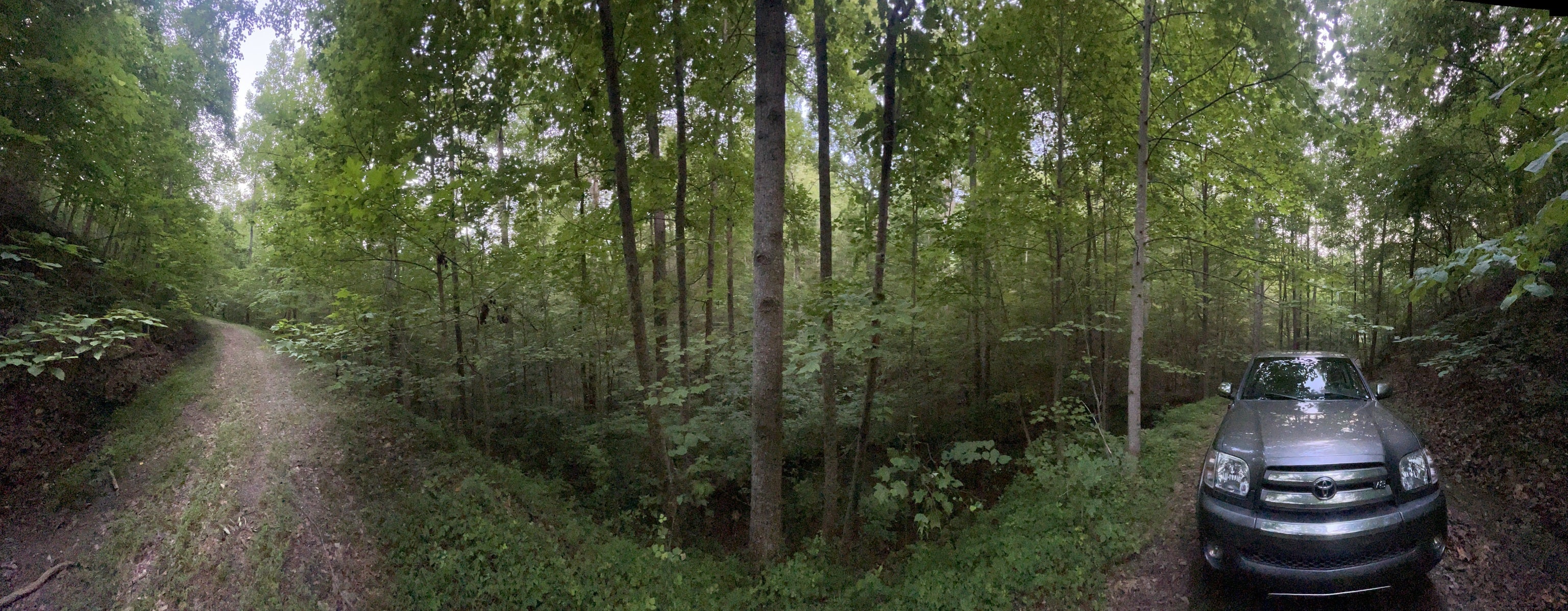 667 Sanford CT