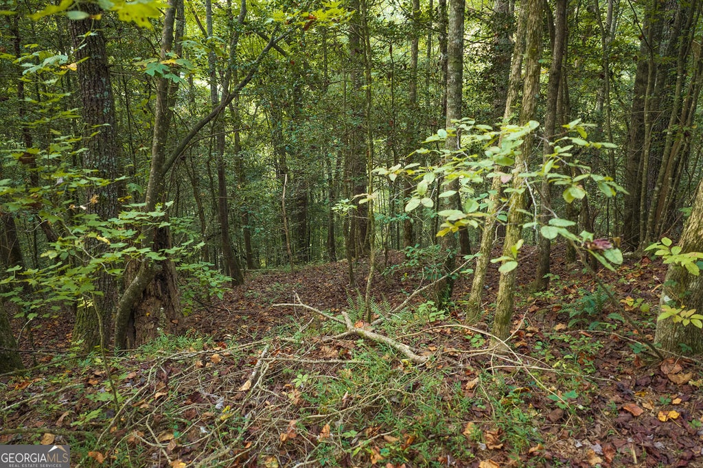 Photo of 1417 Conasauga Drive, Ellijay, GA 30540 (MLS # 10869238)