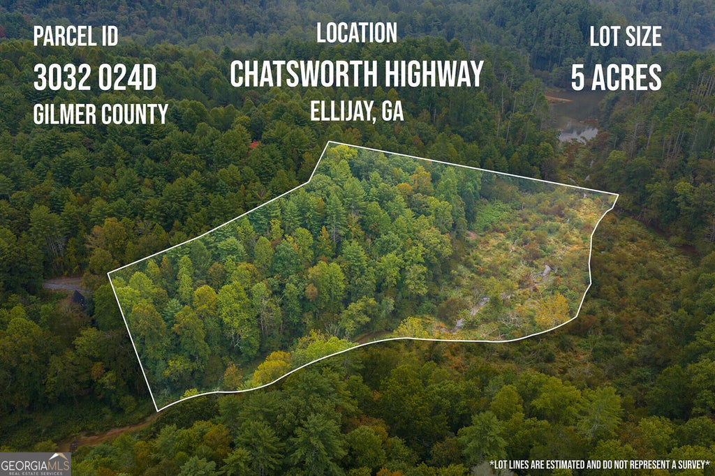 Photo of 1417 Conasauga Drive, Ellijay, GA 30540 (MLS # 10869238)