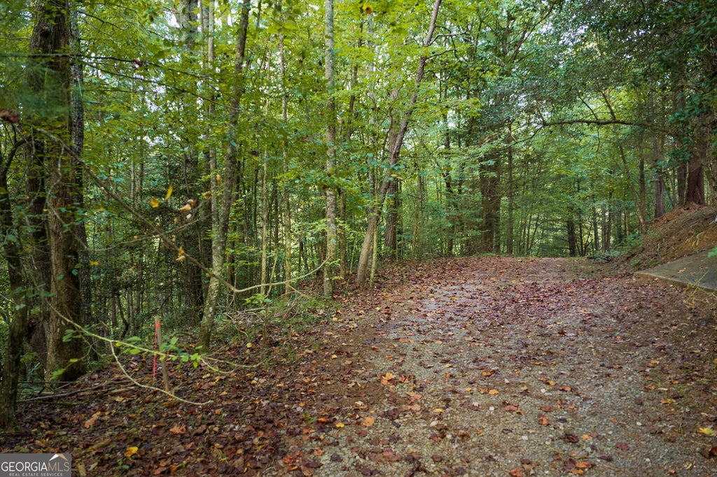 Photo of 1417 Conasauga Drive, Ellijay, GA 30540 (MLS # 10869238)