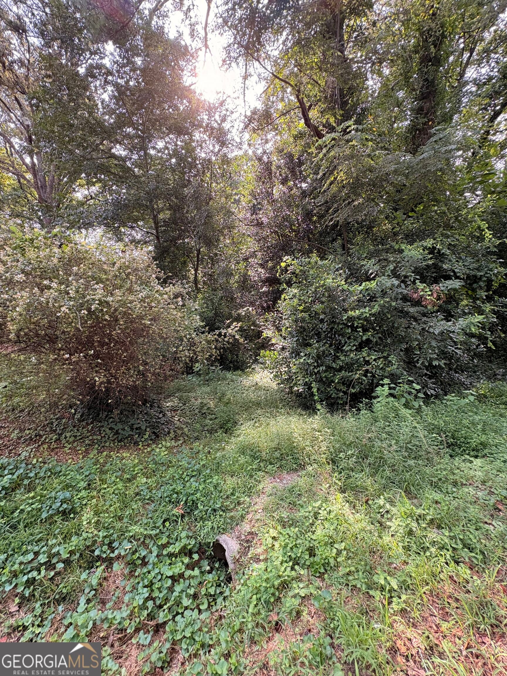 LOT 11 Adamson RD