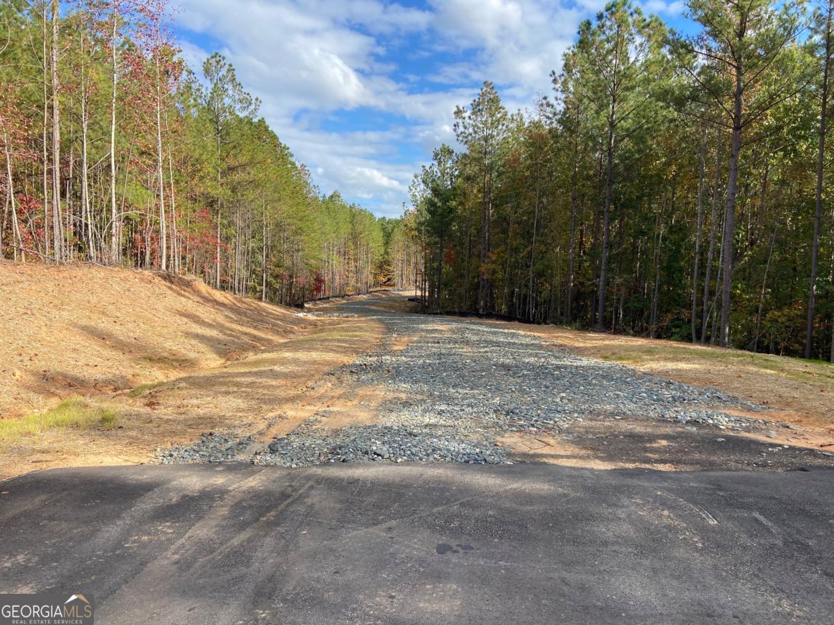 This is the place you've been looking for-10.5 acres in the private easement subdivision, Willow Springs Estates. Bring your builder and home plans to be part of this beautiful development of custom-built homes. Willow Springs Estates is located just minutes from Downtown Dallas and Rockmart, right around the corner from Three Strands Winery and the Silver Comet Trail.