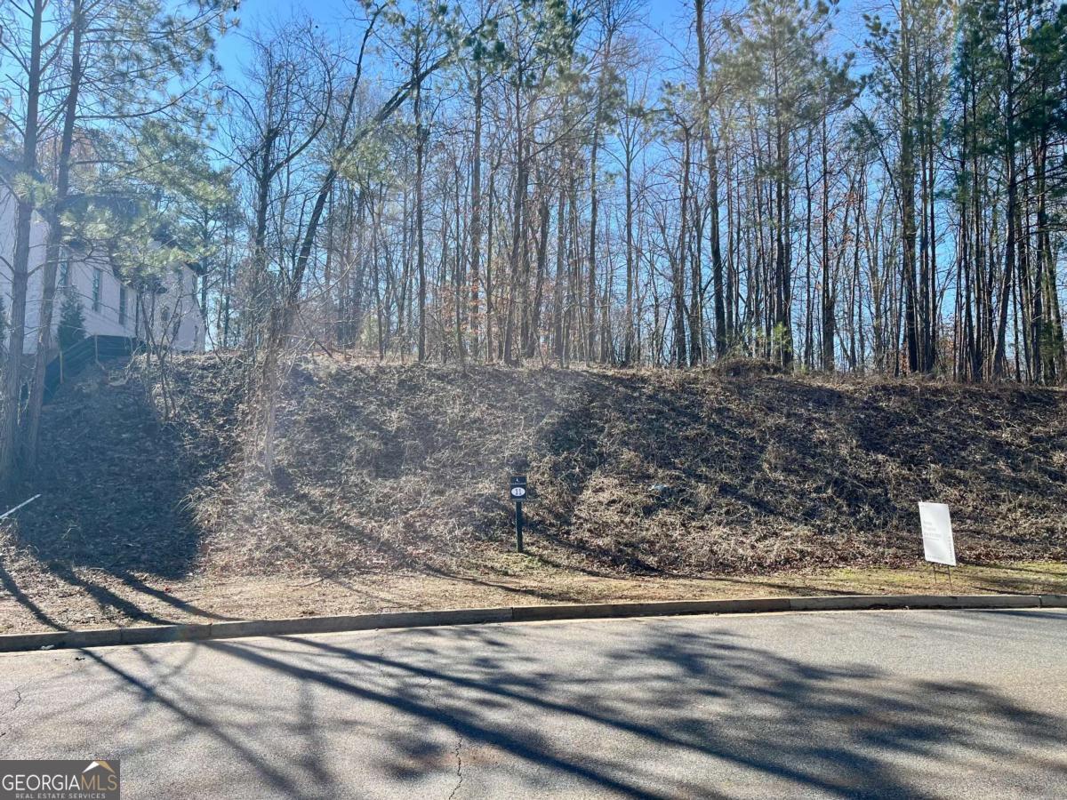 246 Traditions DR
