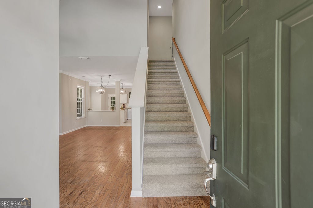 210 Brown Thrush RD