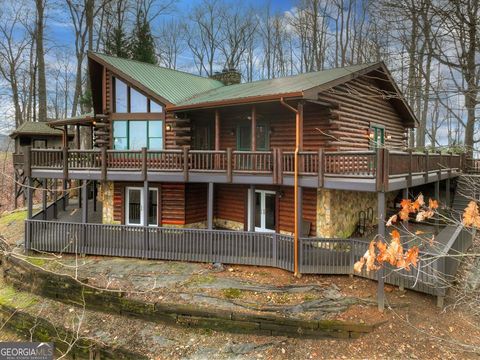 260 Observation LN Blue Ridge GA 30513