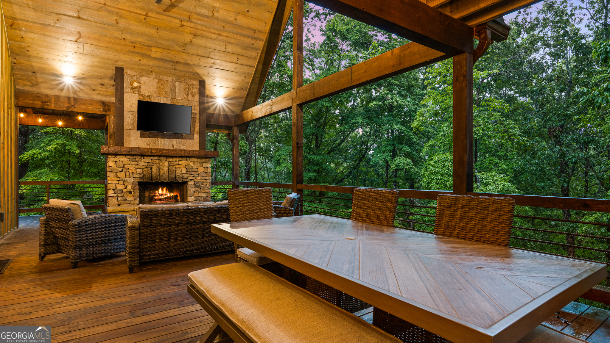 134 Cohutta Overlook TRL