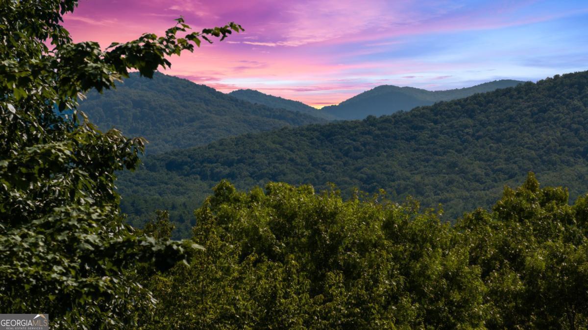 134 Cohutta Overlook TRL