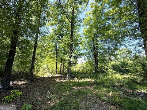Photo of 752 Old Mineral Springs Rd, Elberton, GA 30635 (MLS # 10734365)