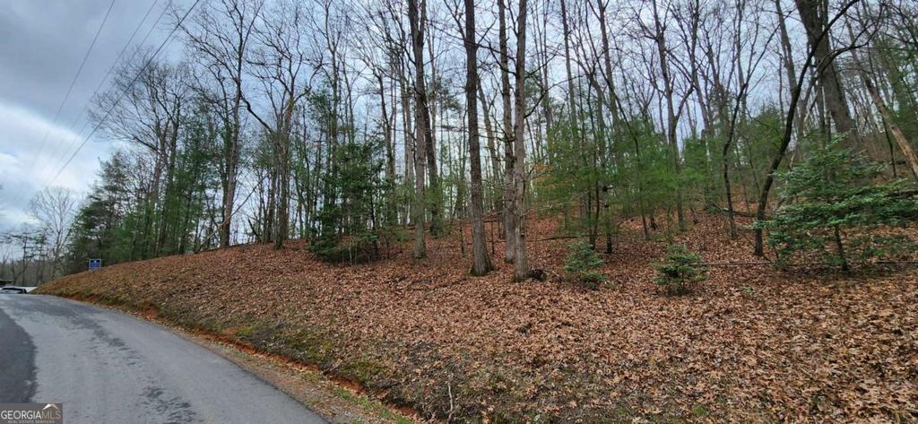 Photo of 13 Mangums Trail, Blue Ridge, GA 30513 (MLS # 10708868)