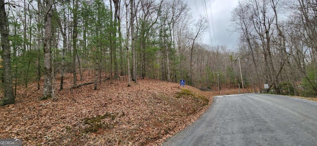 Photo of 13 Mangums Trail, Blue Ridge, GA 30513 (MLS # 10708868)