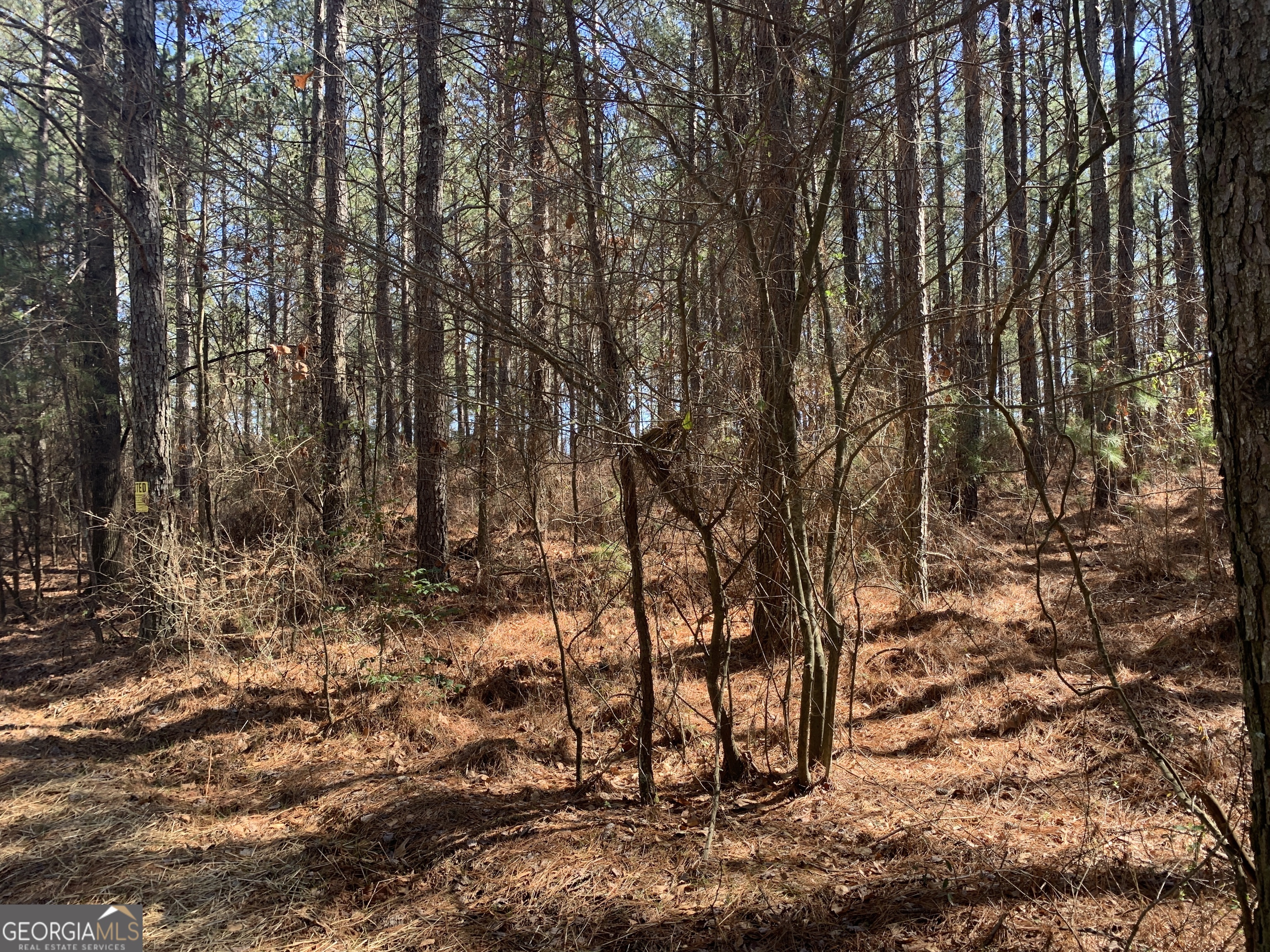 TRACT 1: 11.07 acre estate lot. Zoned A-2 and perfect for your new home. Located at the corner of Veterans Drive and Crawford Long Street and convenient to Downtown Danielsville, Commerce and Athens. Over eleven acres of wooded privacy.