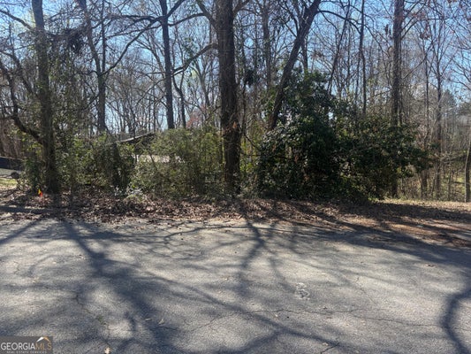 11005 REGENTS CT, HAMPTON, GA 30228 - Image 48c37a4e170f0d7fc60aedb7cf5533eb/2983317094