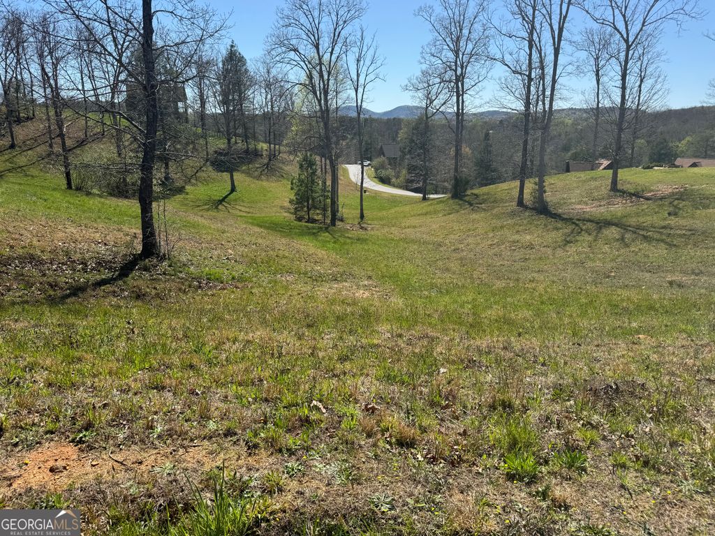 Photo of 0 Lola Drive, Blairsville, GA 30512 (MLS # 10706011)