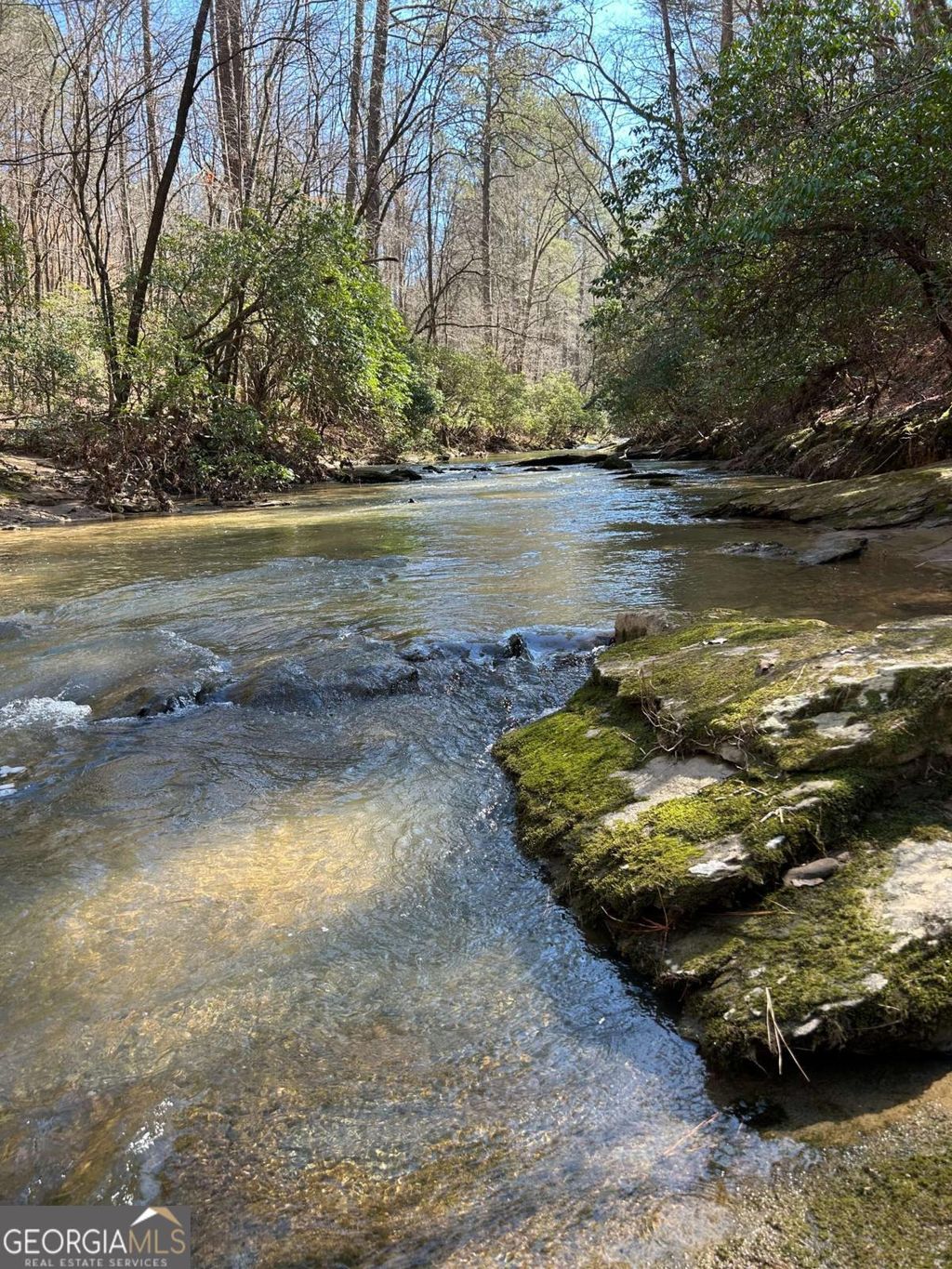 Photo of 0 Coffee Mill Run, Talking Rock, GA 30175 (MLS # 10664255)