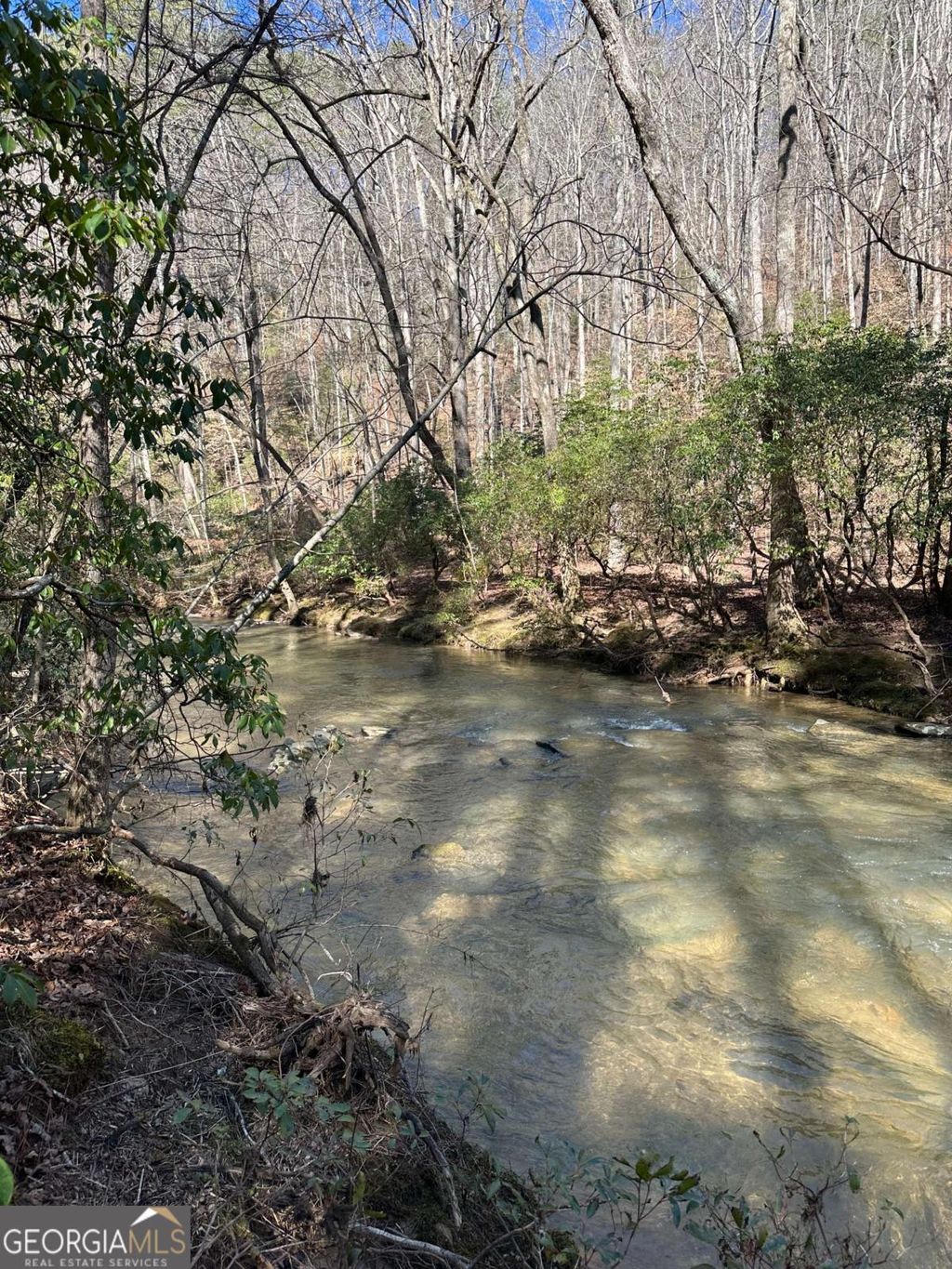 Photo of 0 Coffee Mill Run, Talking Rock, GA 30175 (MLS # 10664255)