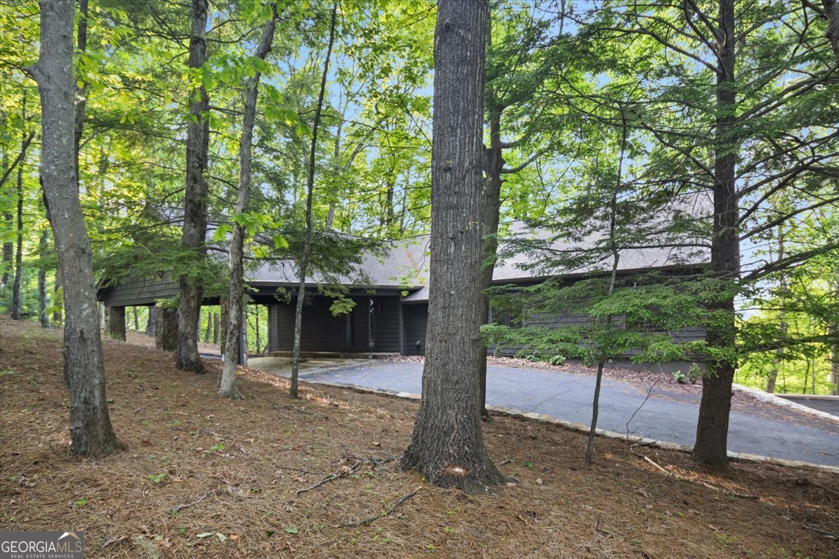 40 Sanderlin Mtn DR