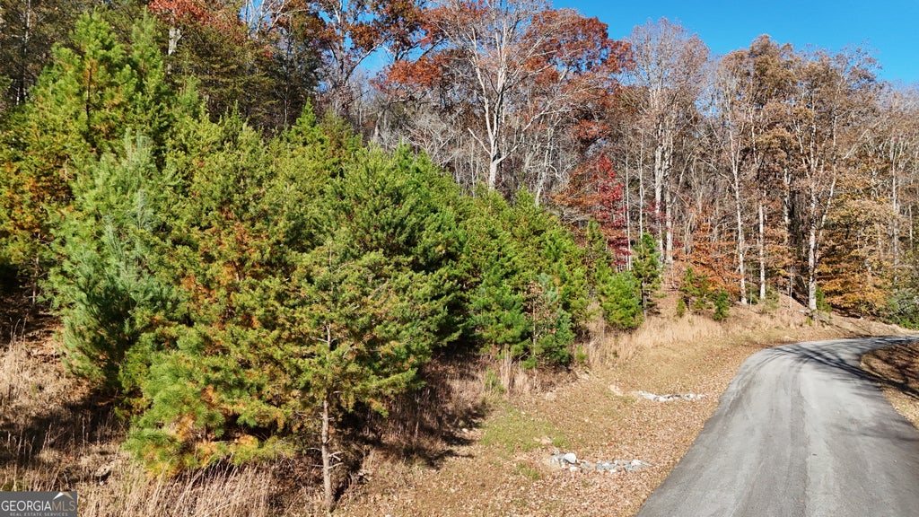 Photo of 184 Northshore Drive, Cleveland, GA 30528 (MLS # 10851934)