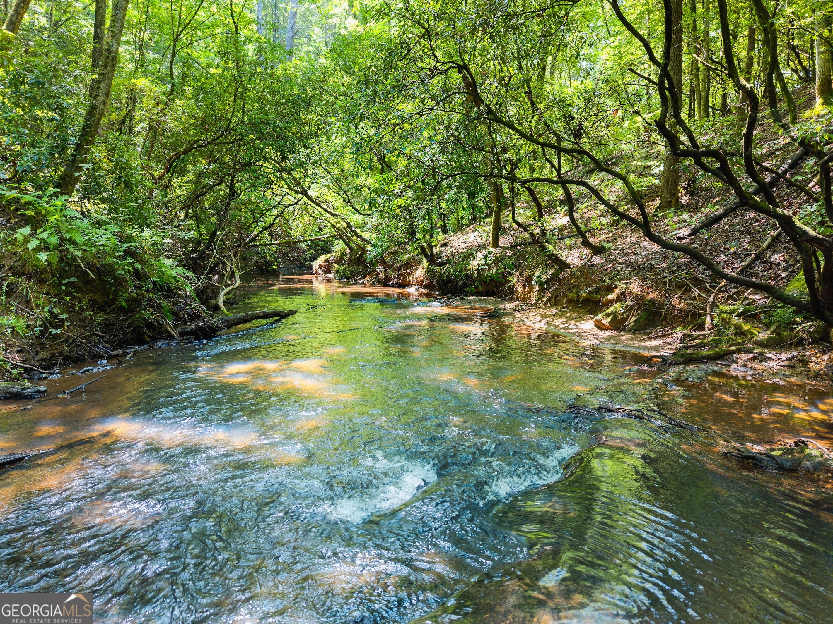 Discover your own private slice of North Georgia in a location that's just minutes from scenic hiking trails, award-winning wineries, and the charming mountain towns of Helen, Cleveland, and Dahlonega. This beautiful lot offers a perfect blend of convenience and seclusion, with a cleared path and handcrafted steps leading from Creekside Drive down to the tranquil waters of Jenny's Creek. Enjoy the soothing year-round sounds of the creek from the spacious creekside deck, the perfect spot to relax and take in the abundant wildlife. With generous creek frontage, seasonal mountain views, and a setting surrounded by mountain laurel and rhododendrons, nature's beauty is truly all around you. This property is an ideal basement building lot, ready for you to create your dream getaway or forever home in a setting that feels like a retreat.