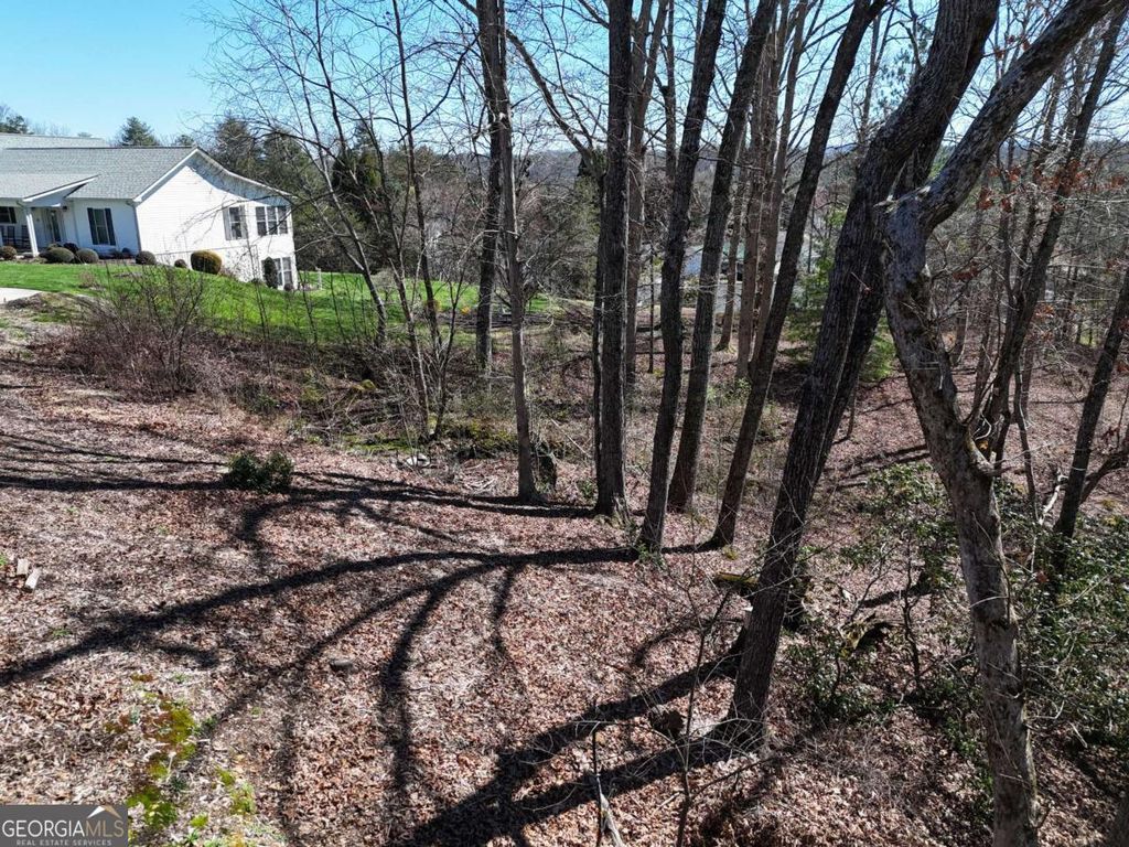 Photo of 91 Peyton Drive, Blue Ridge, GA 30513 (MLS # 10722553)