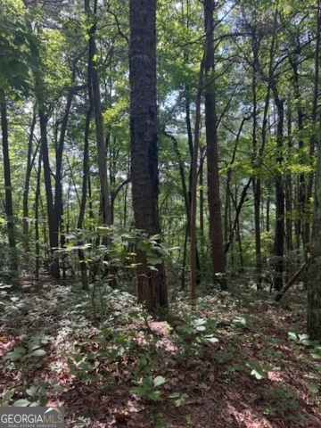 10.96 AC Paramount Trail