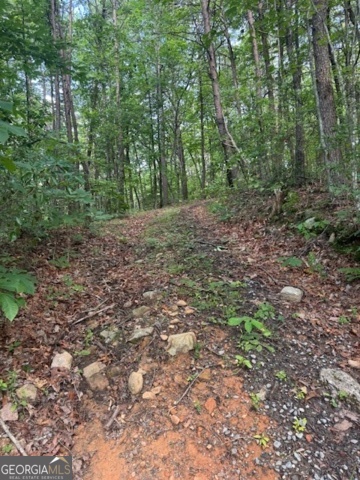 UNRESTRICTED NORTH GEORGIA MOUNTAIN ACREAGE - Private 10.96 Acres located just outside Ellijay, Georgia. This Beautiful Mountain Property offers Very Private Wooded Acreage with Mountain Views and ready to make your dreams come true. Beautiful hardwoods, abundant wild life for a great hunting property. Road and Driveway in place with level build site. Live off the grid or bring power in. Nearby Downtown Ellijay for Restaurants and Shopping, East Ellijay for commercial shopping and access to Hwy. 515, Close to Springer Mountain for Appalachian Trail access, Short drive to Amicalola Falls and Beautiful Dahlonega, GA.