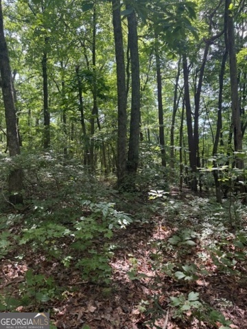 10.96 AC Paramount Trail