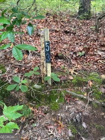 10.96 AC Paramount Trail
