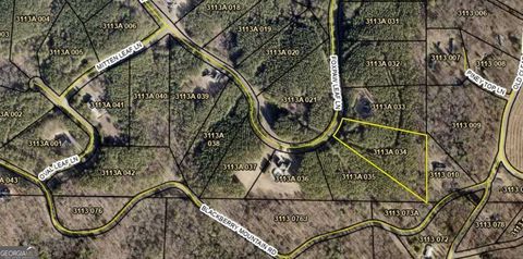 0 Fox Paw Leaf (Lot 34) LN Ellijay GA 30540