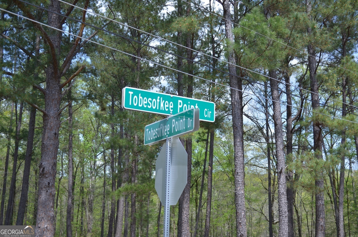 1539 Tobesofkee Point DR